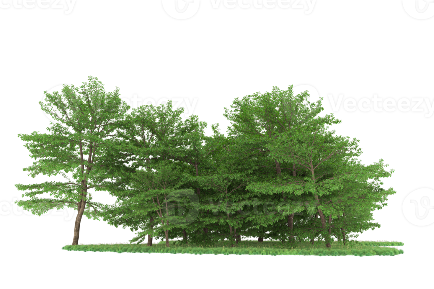 Realistic forest isolated on transparent background. 3d rendering - illustration png
