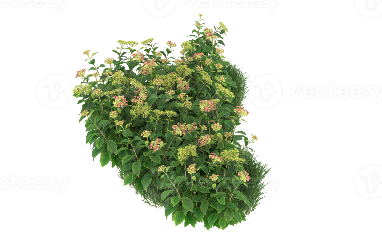Realistic foliage isolated on transparent background. 3d rendering - illustration png