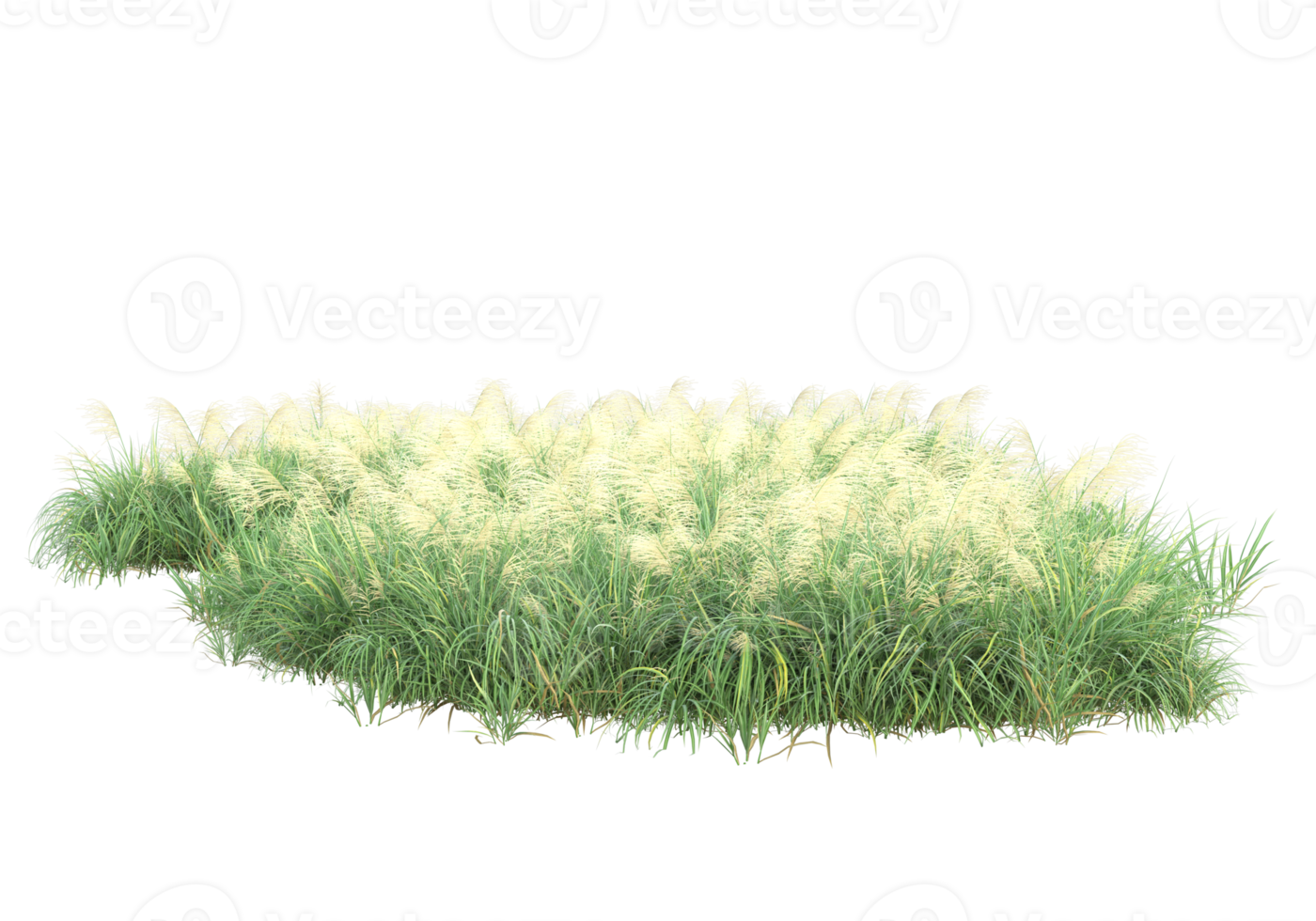 Realistic foliage isolated on transparent background. 3d rendering - illustration png