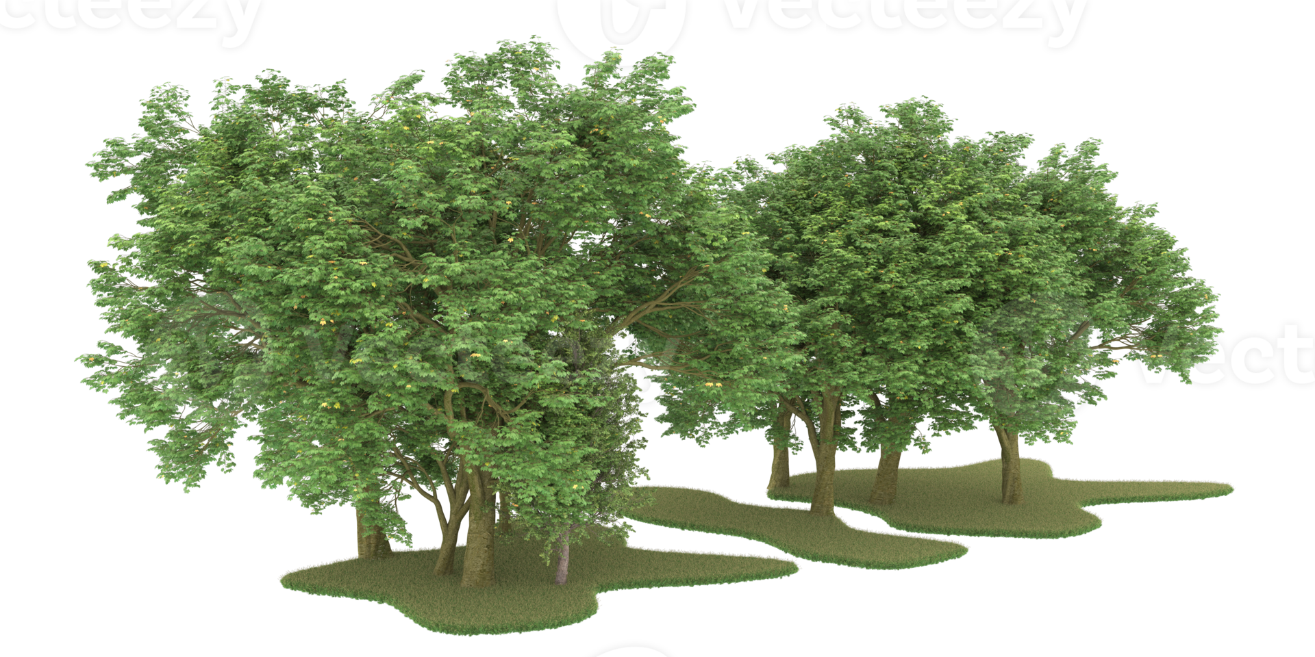 Realistic forest isolated on transparent background. 3d rendering - illustration png