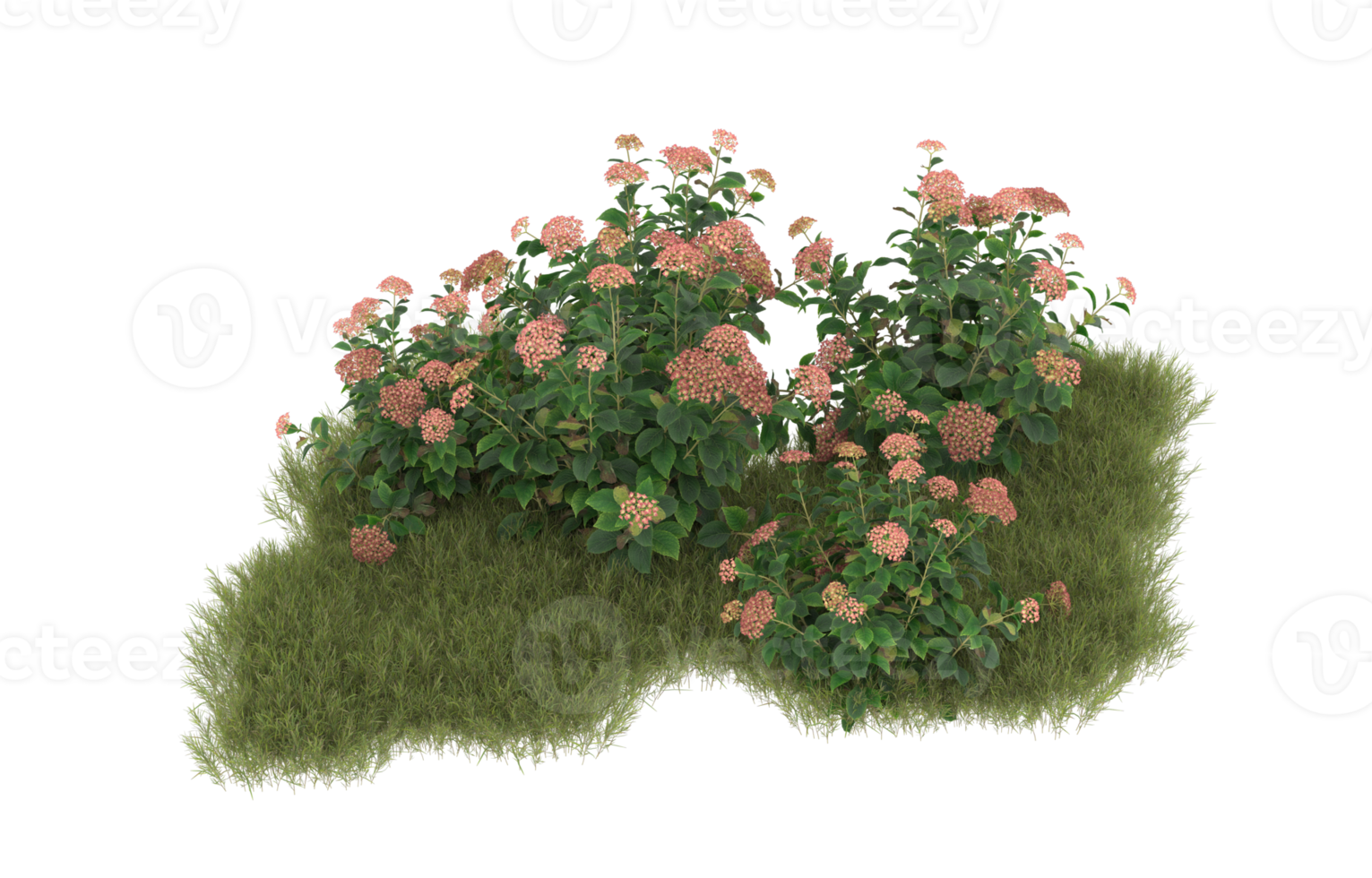 Realistic foliage isolated on transparent background. 3d rendering - illustration png