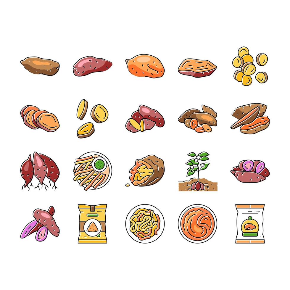 potato sweet food yam orange icons set vector