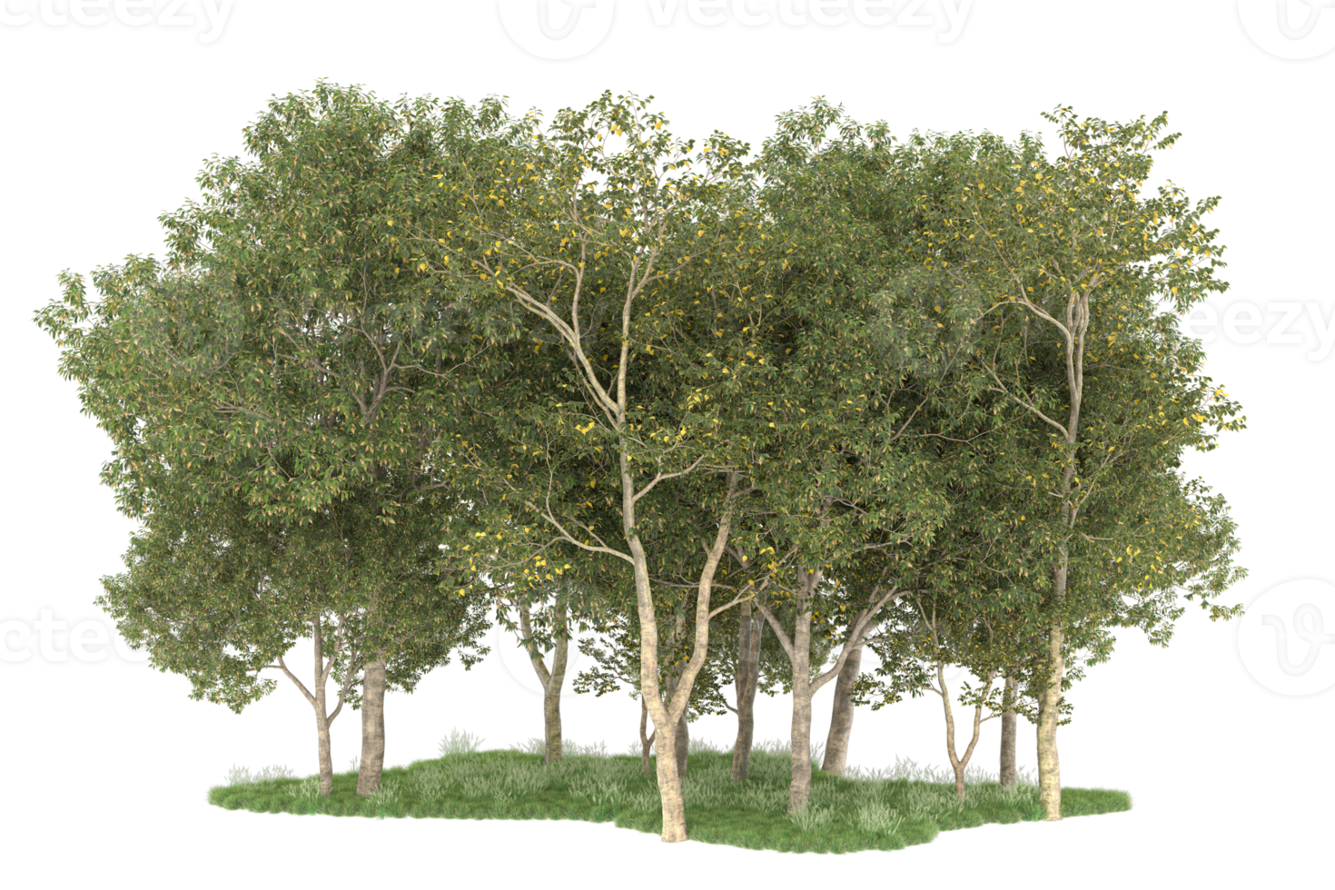 Realistic forest isolated on transparent background. 3d rendering - illustration png