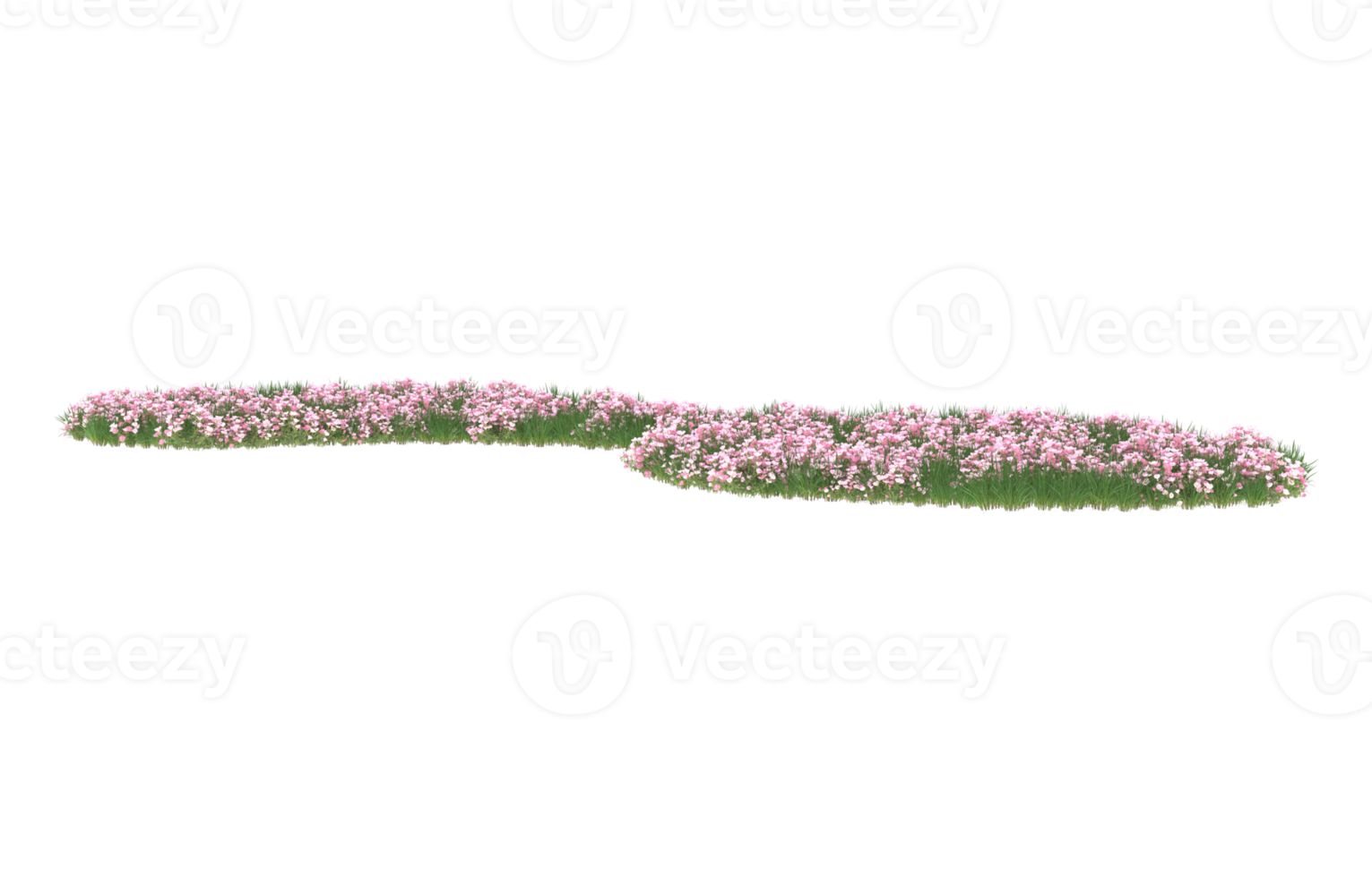 Realistic foliage isolated on transparent background. 3d rendering - illustration png