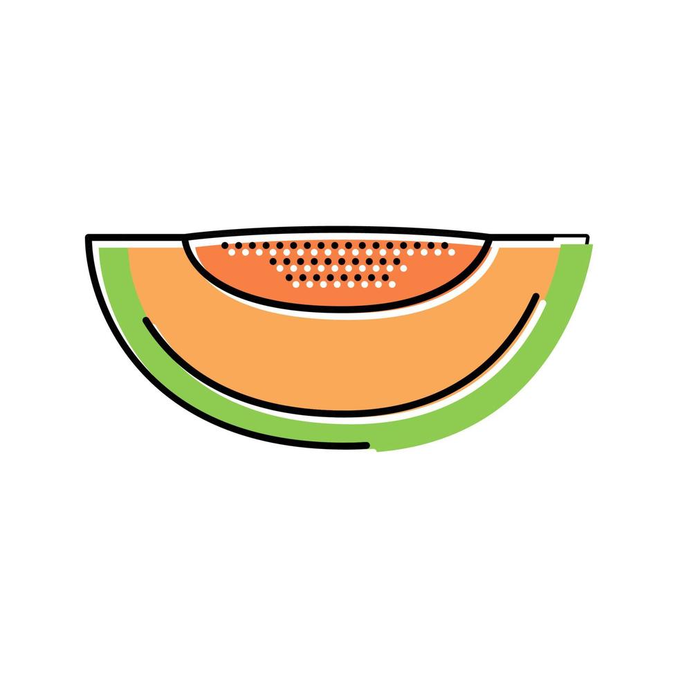 green melon seeds slice cantaloupe color icon vector illustration