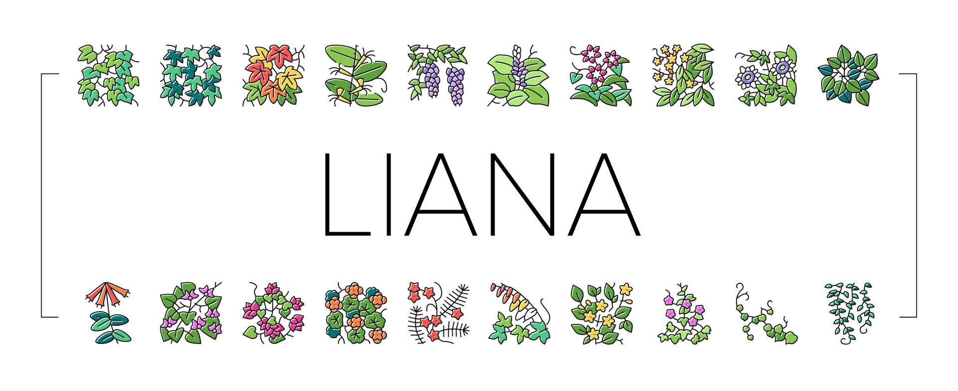 Vine Liana Exotic Growing Plant Icons Set Vector