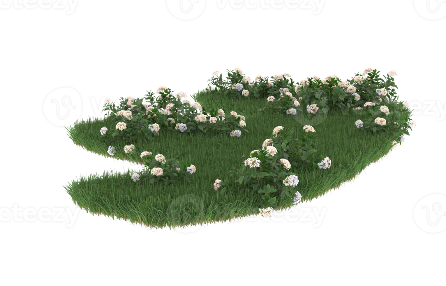 Realistic foliage isolated on transparent background. 3d rendering - illustration png