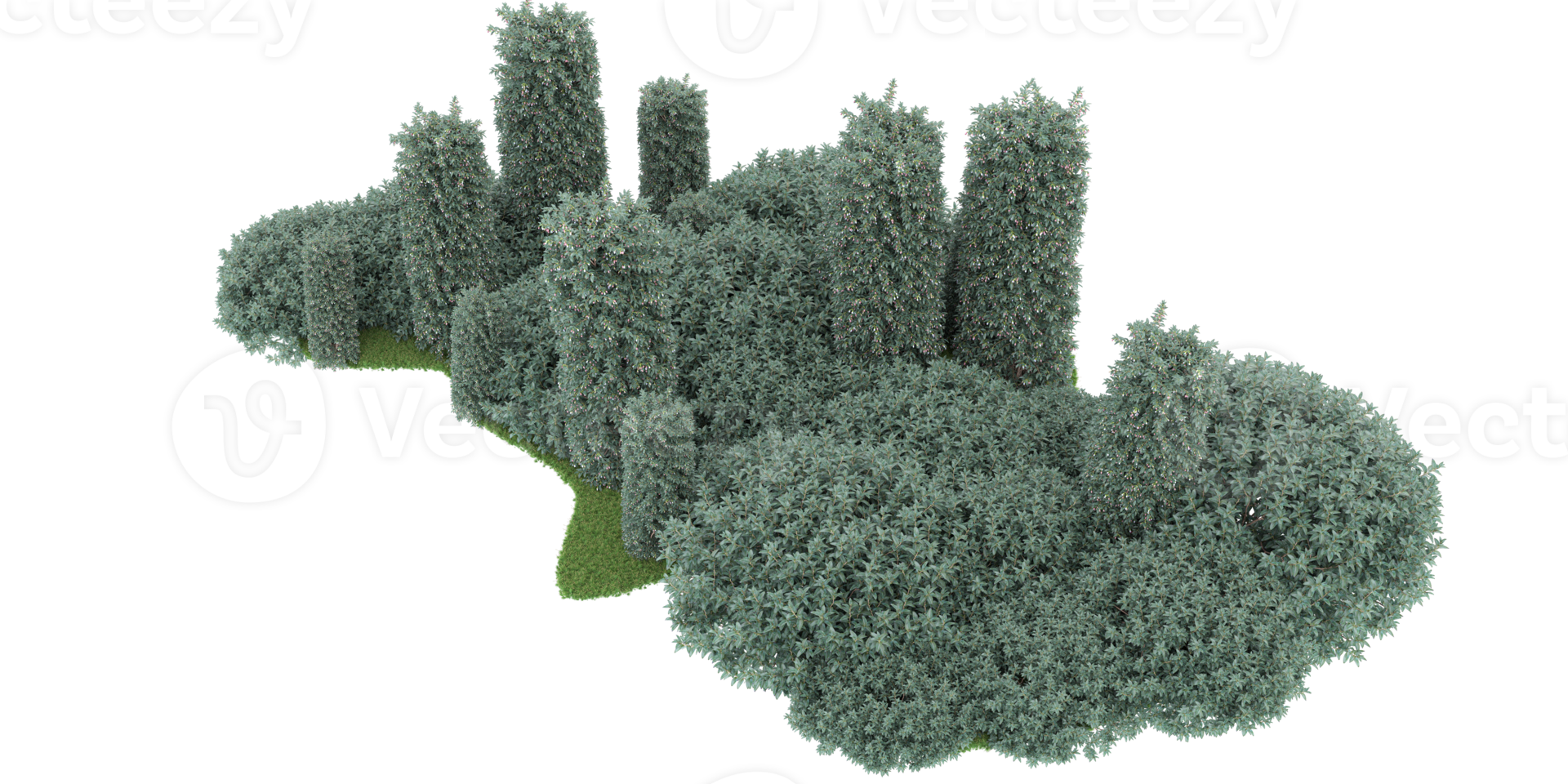 Realistic forest isolated on transparent background. 3d rendering - illustration png