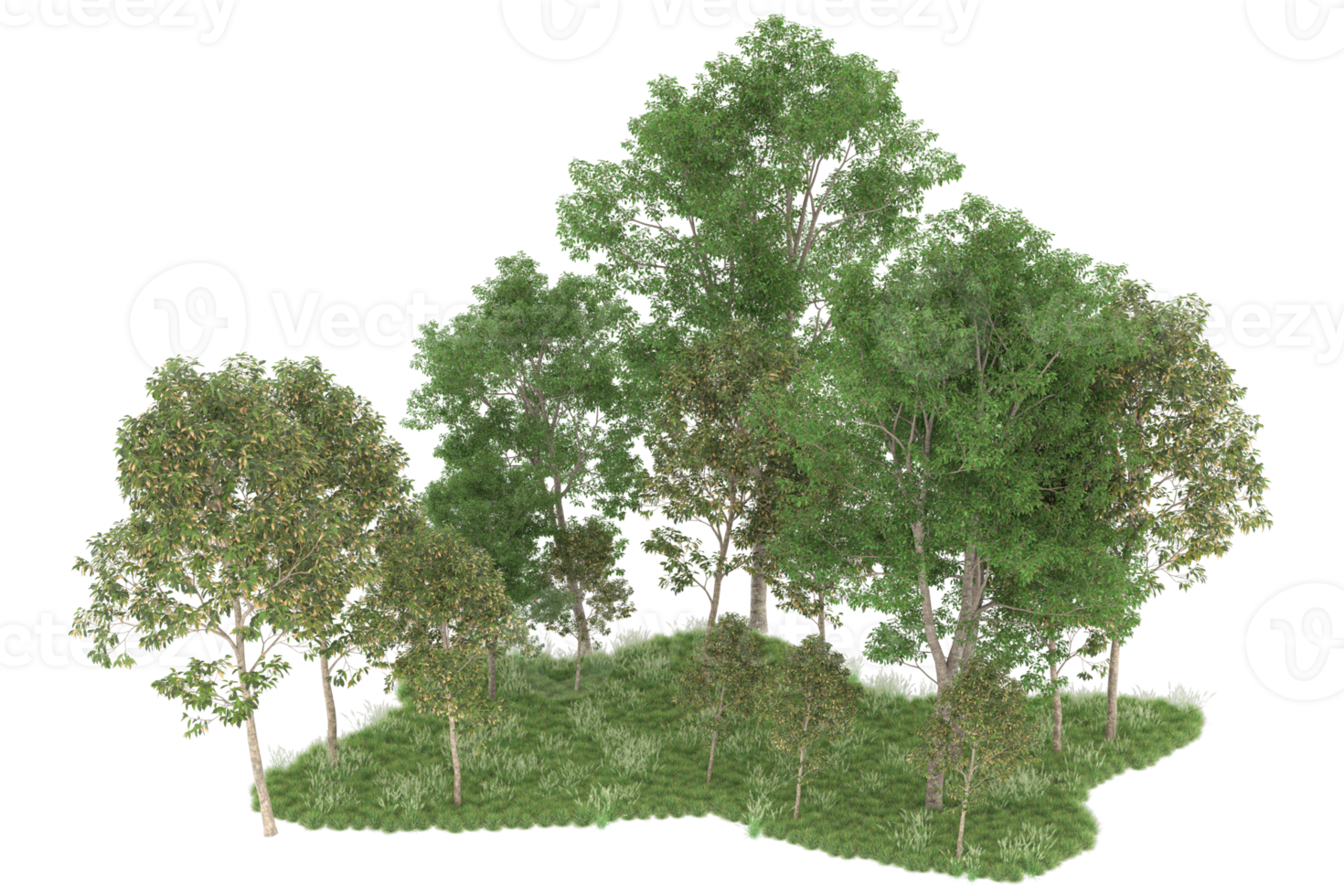 Realistic forest isolated on transparent background. 3d rendering - illustration png