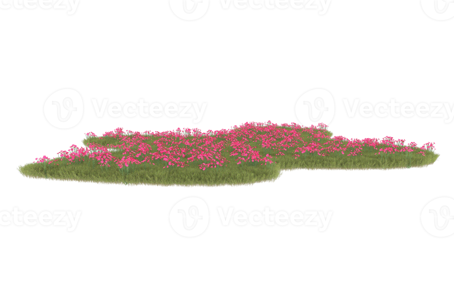 Realistic foliage isolated on transparent background. 3d rendering - illustration png