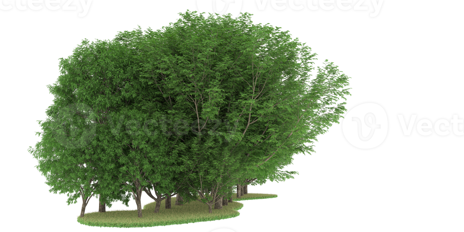 Realistic forest isolated on transparent background. 3d rendering - illustration png