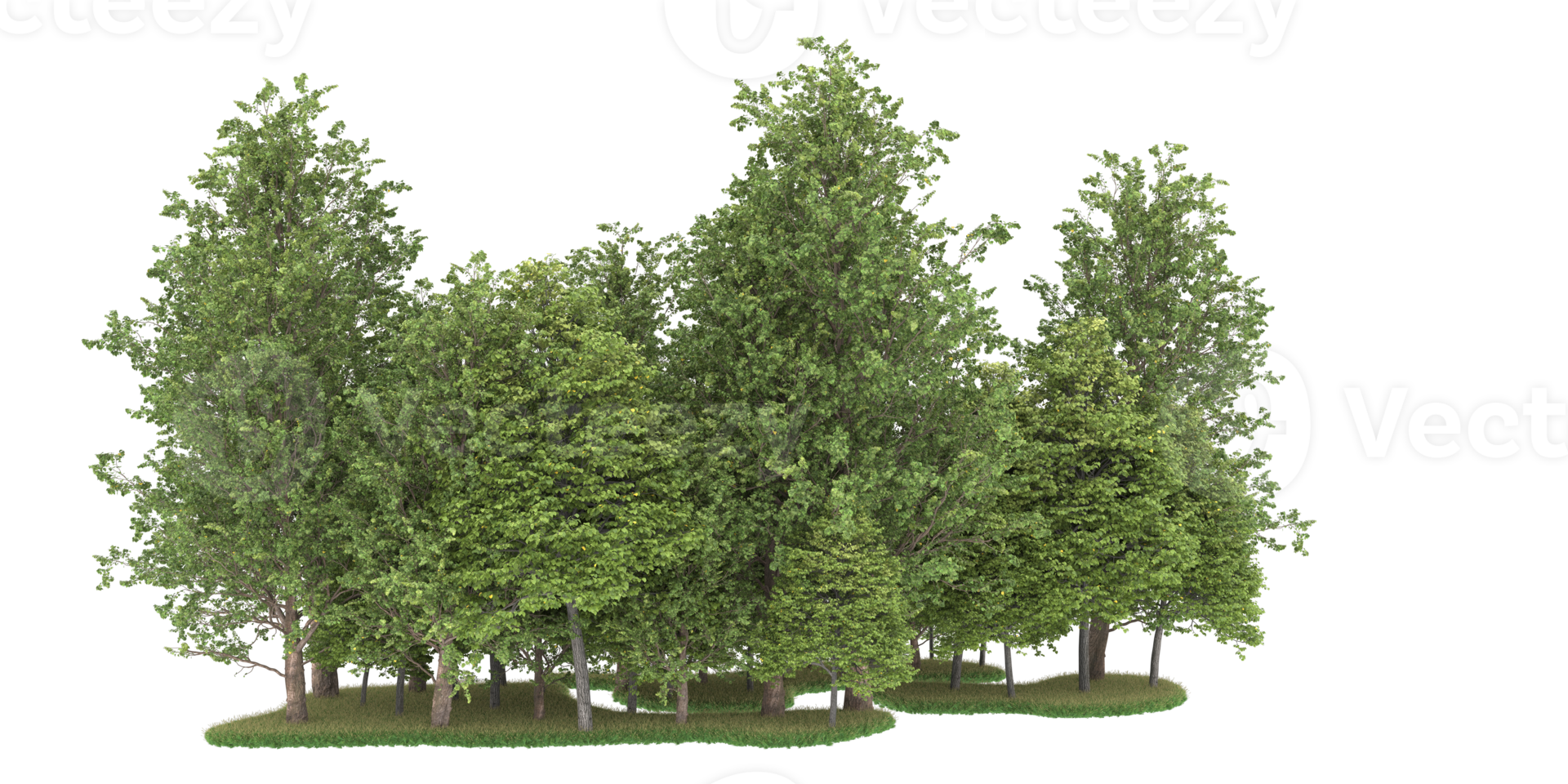 Realistic forest isolated on transparent background. 3d rendering - illustration png