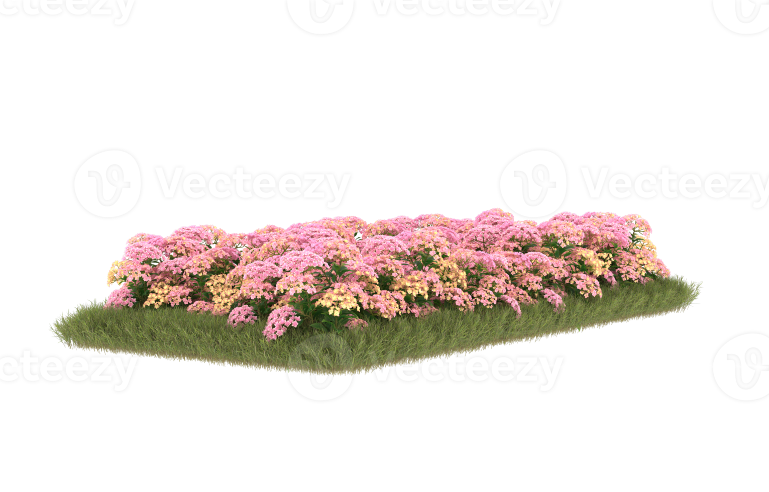Realistic foliage isolated on transparent background. 3d rendering - illustration png