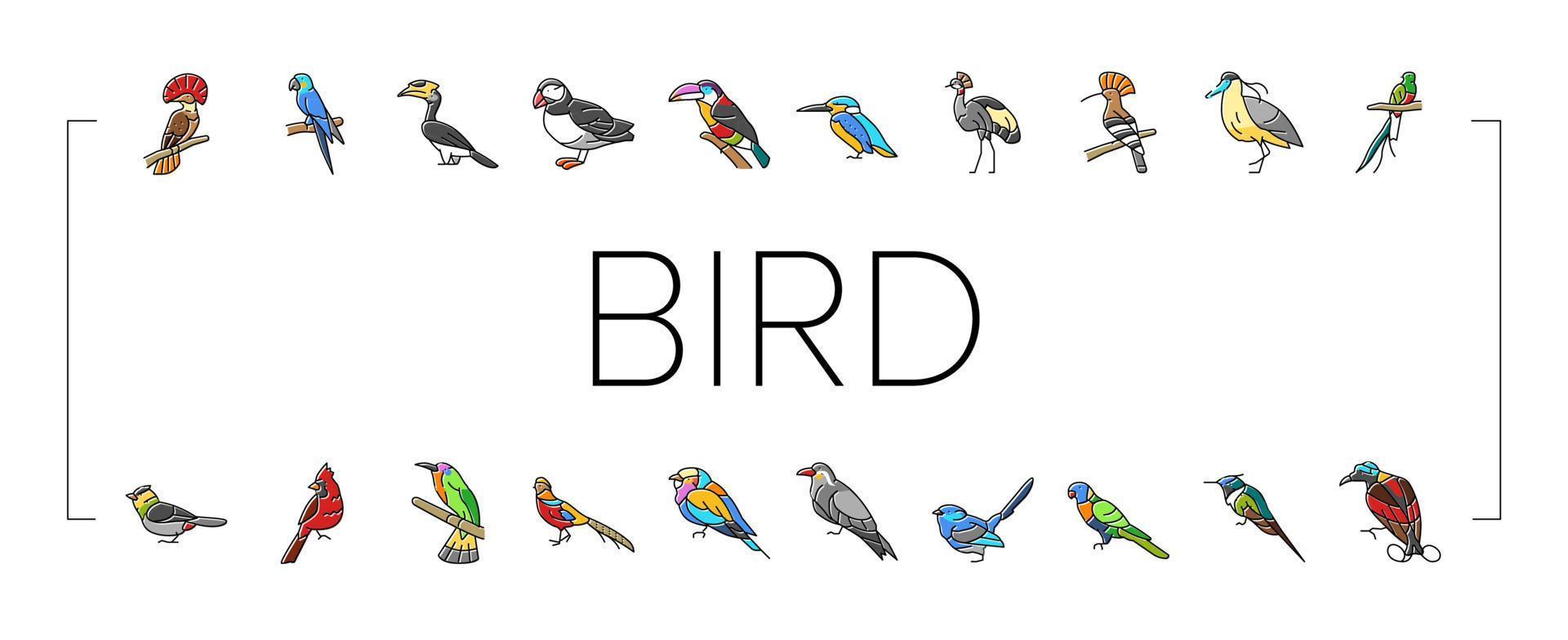 bird exotic animal nature wild icons set vector