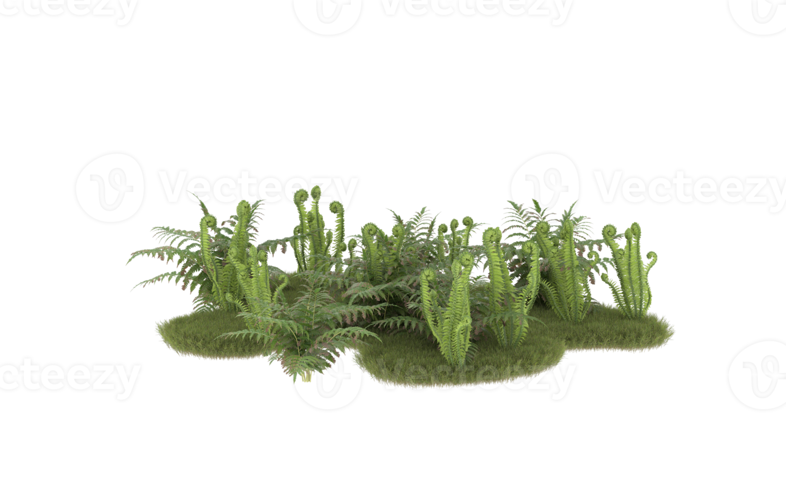 realistisk lövverk isolerat på transparent bakgrund. 3d tolkning - illustration png