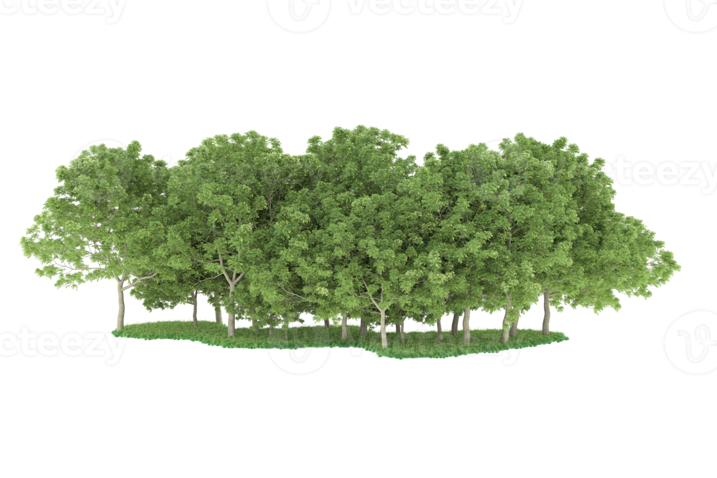 Realistic forest isolated on transparent background. 3d rendering - illustration png
