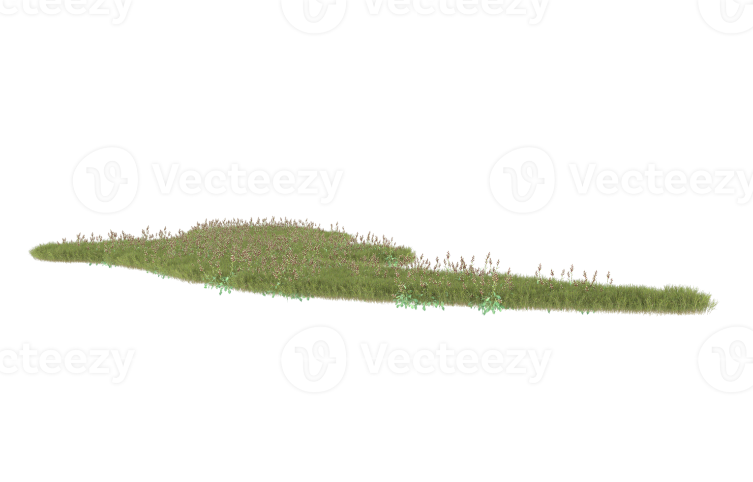 realistisk lövverk isolerat på transparent bakgrund. 3d tolkning - illustration png