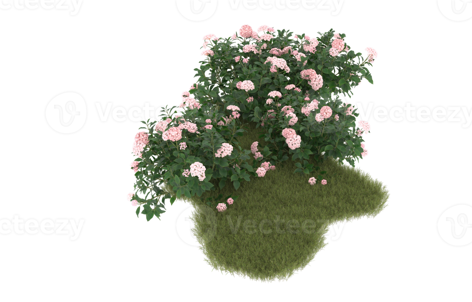 Realistic foliage isolated on transparent background. 3d rendering - illustration png