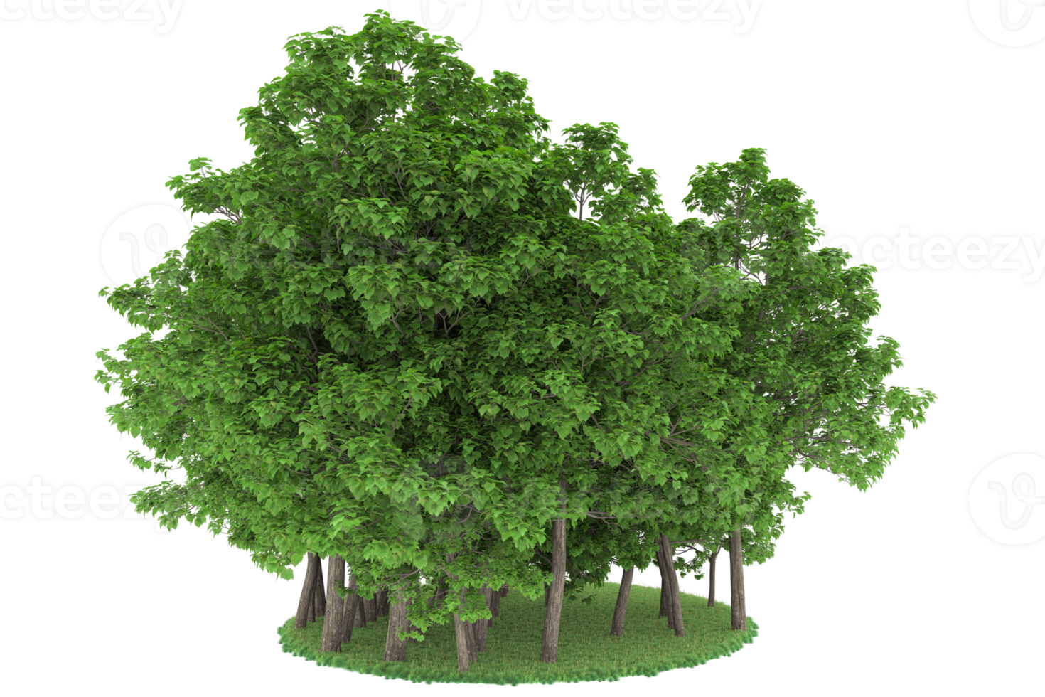 Realistic forest isolated on transparent background. 3d rendering - illustration png