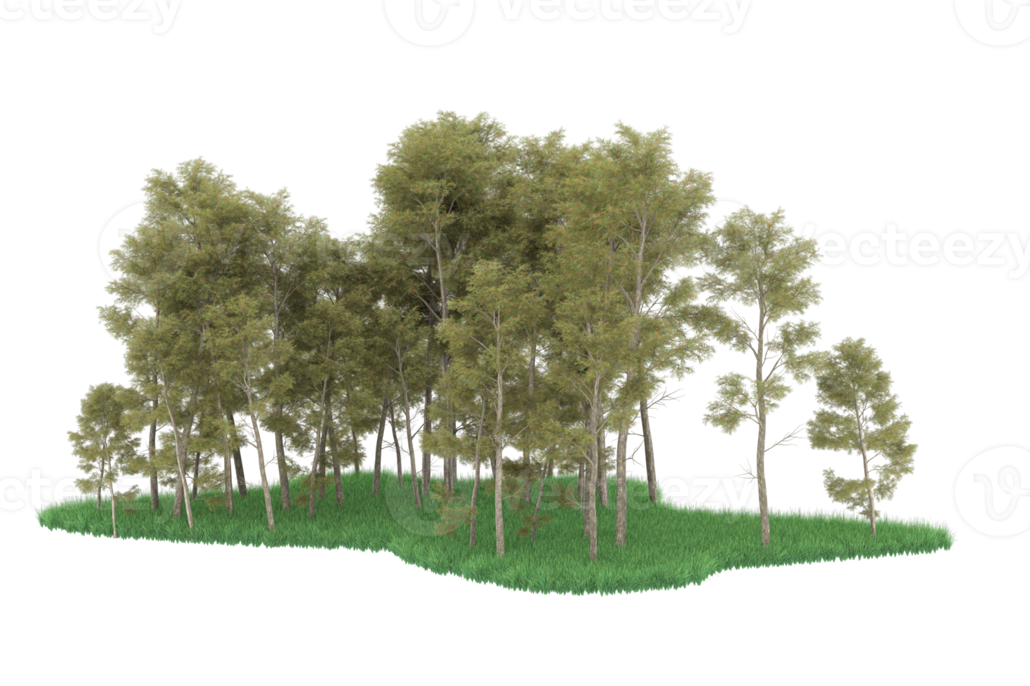 realistico foresta isolato su trasparente sfondo. 3d interpretazione - illustrazione png