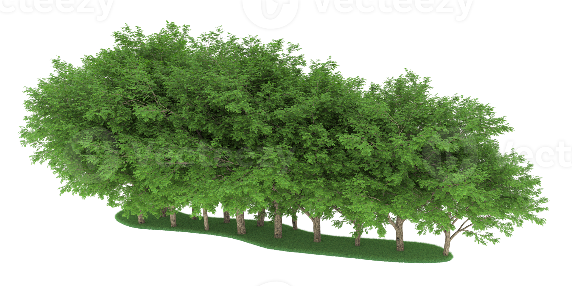 forêt réaliste isolée sur fond transparent. rendu 3d - illustration png