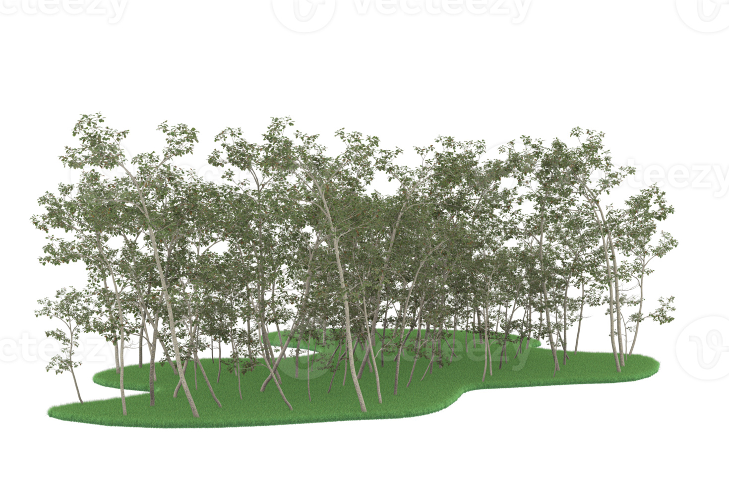 Realistic forest isolated on transparent background. 3d rendering - illustration png