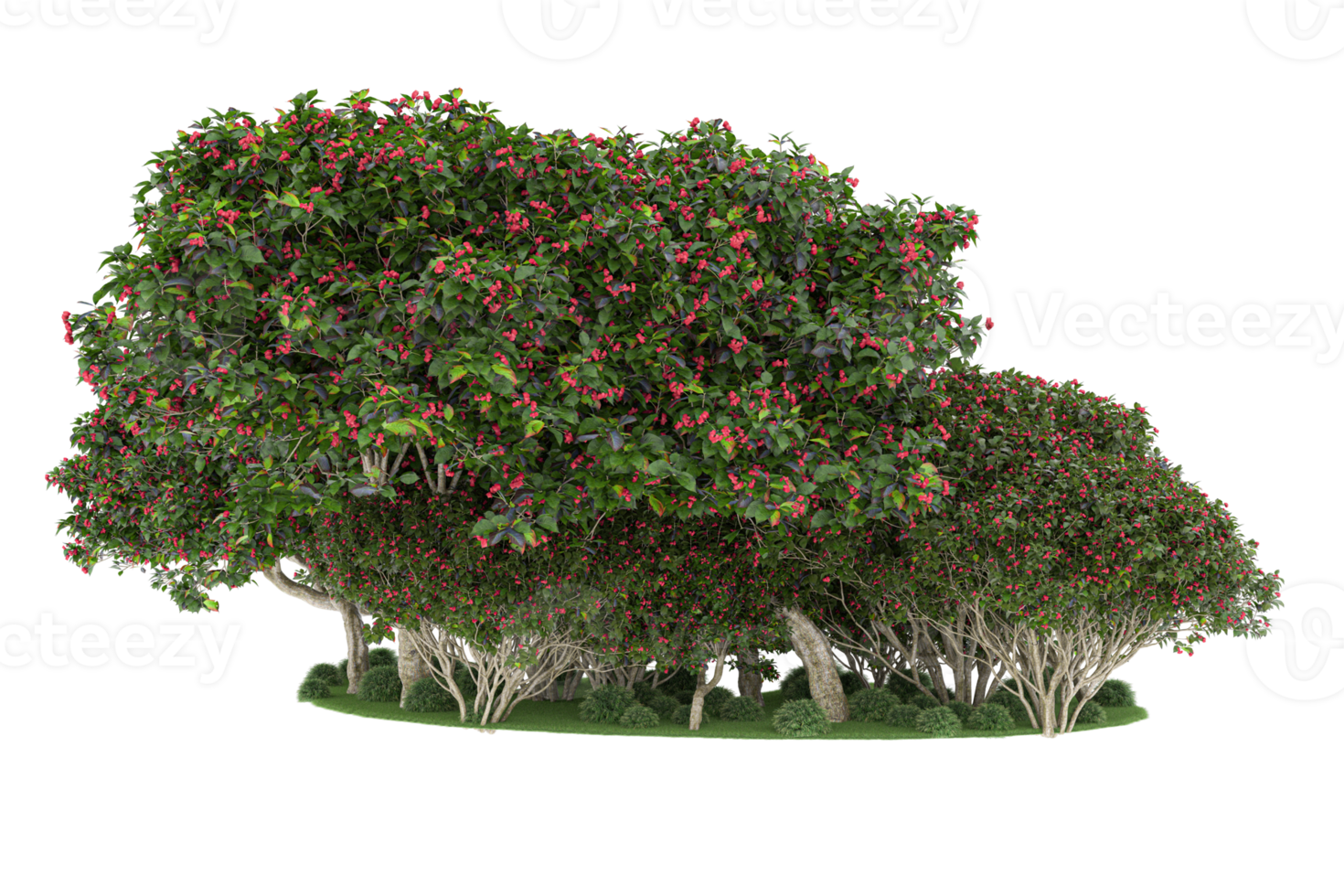 Realistic forest isolated on transparent background. 3d rendering - illustration png