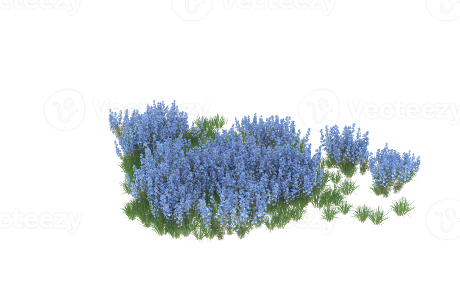 realistisch gebladerte geïsoleerd Aan transparant achtergrond. 3d renderen - illustratie png