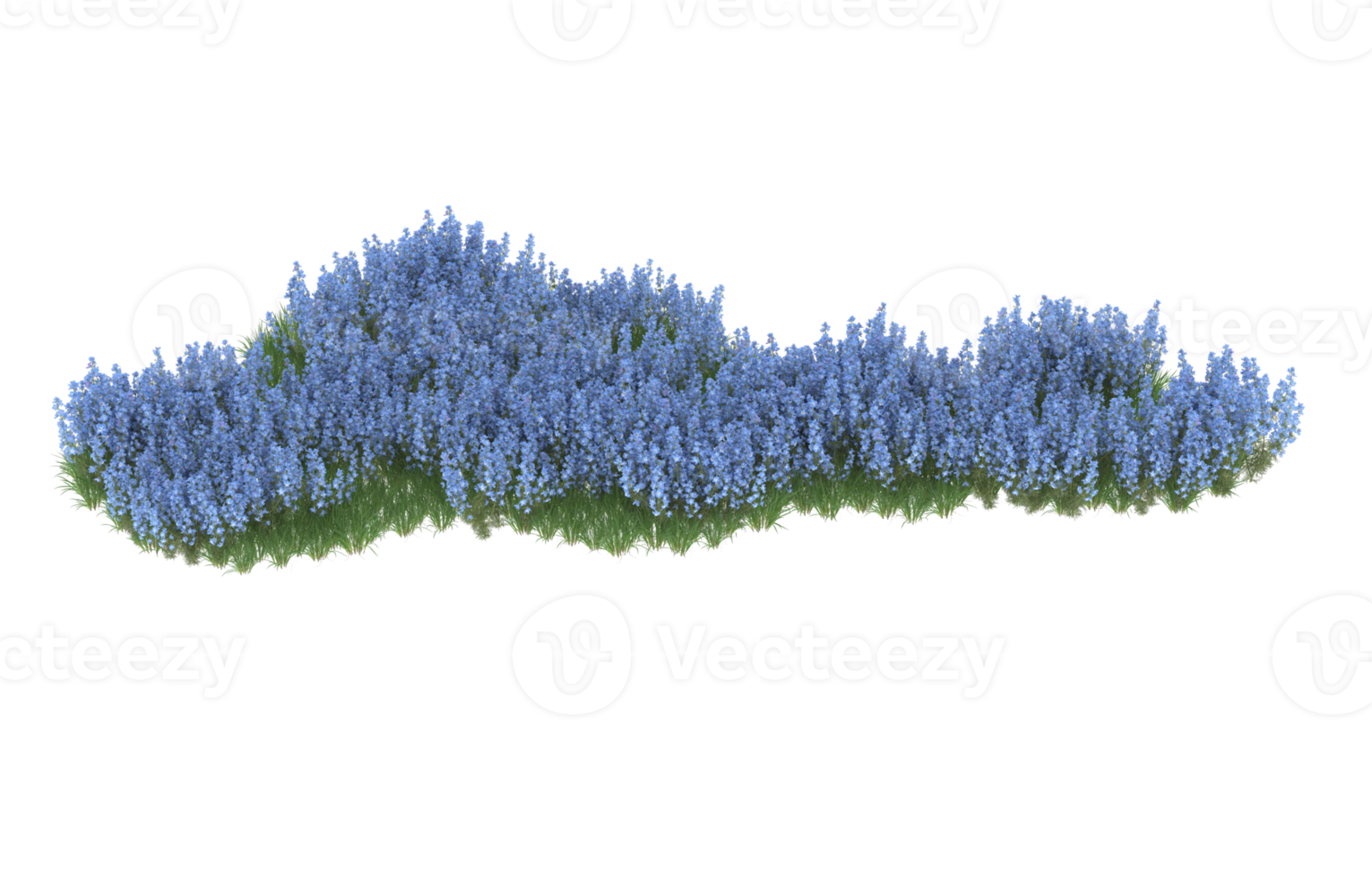Realistic foliage isolated on transparent background. 3d rendering - illustration png