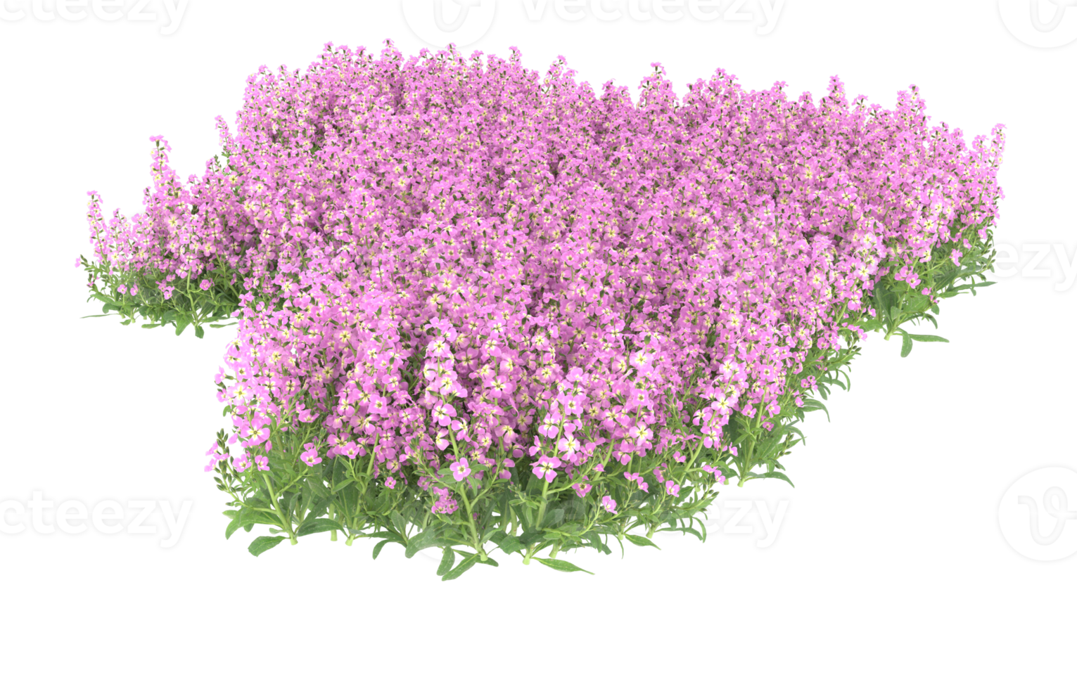 Realistic foliage isolated on transparent background. 3d rendering - illustration png