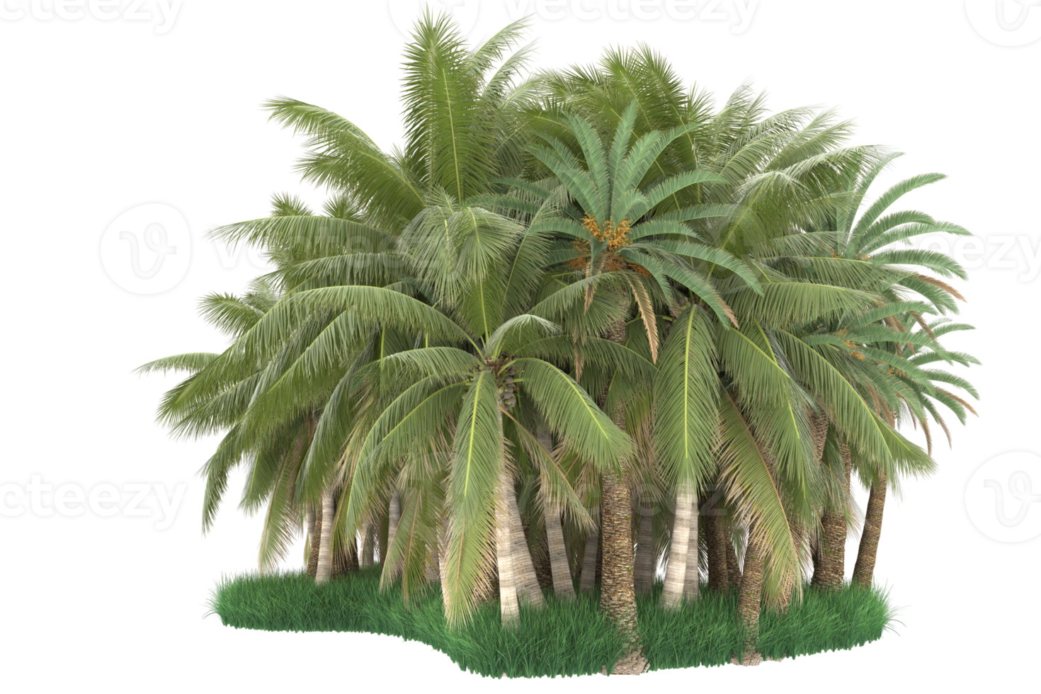 Palm trees isolated on transparent background. 3d rendering - illustration png