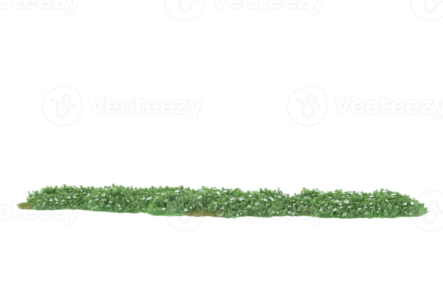 Realistic foliage isolated on transparent background. 3d rendering - illustration png