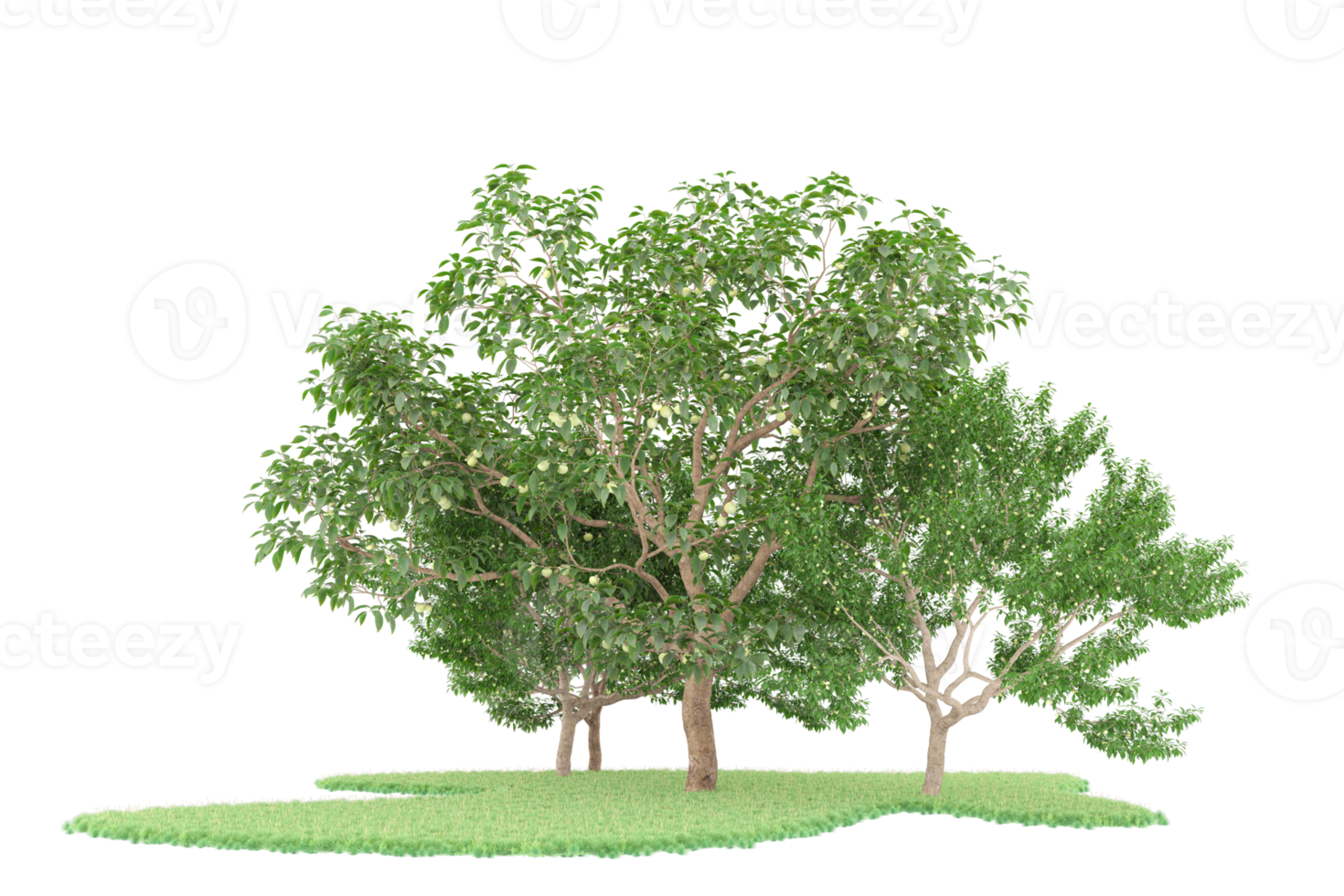 Realistic forest isolated on transparent background. 3d rendering - illustration png