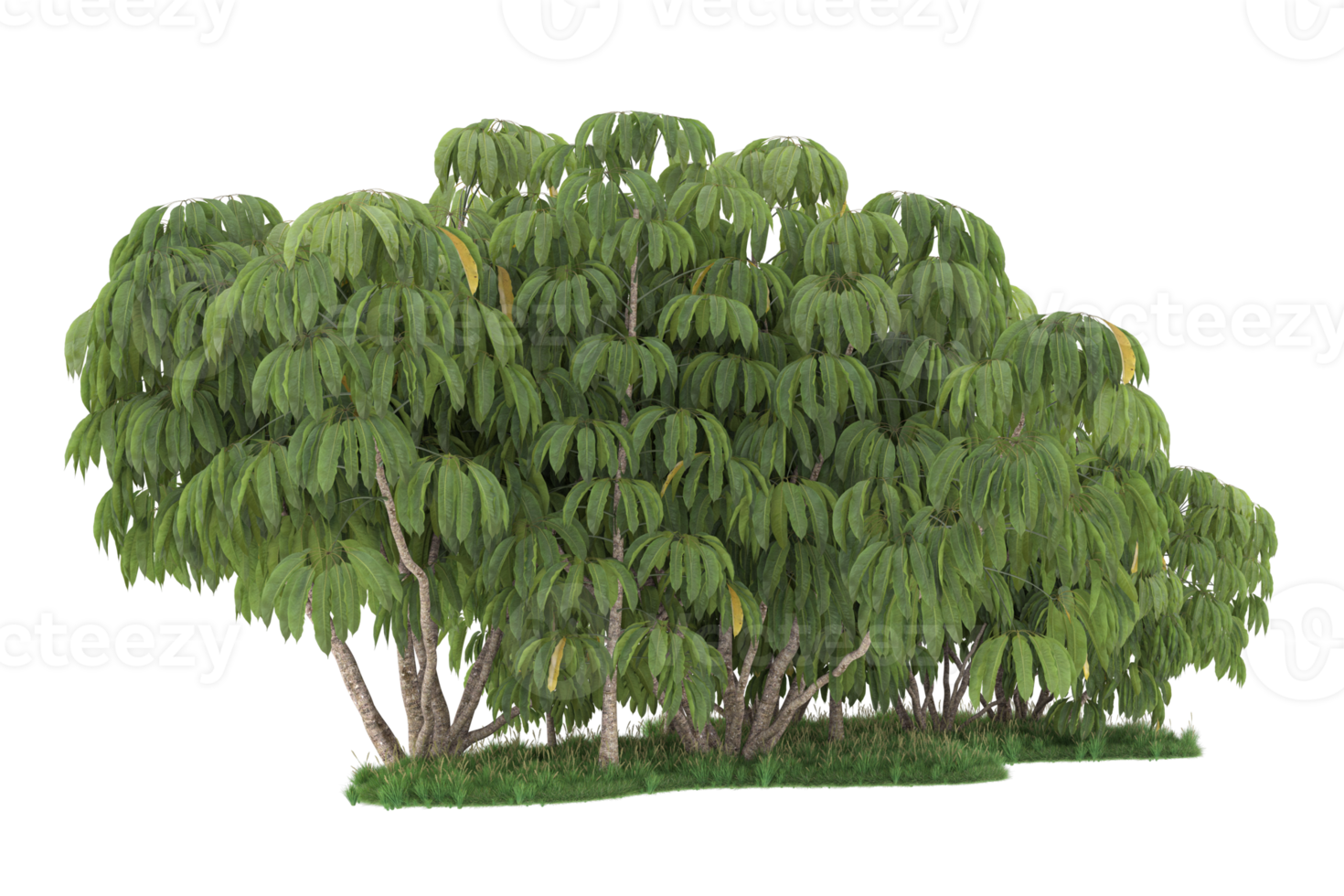Realistic forest isolated on transparent background. 3d rendering - illustration png