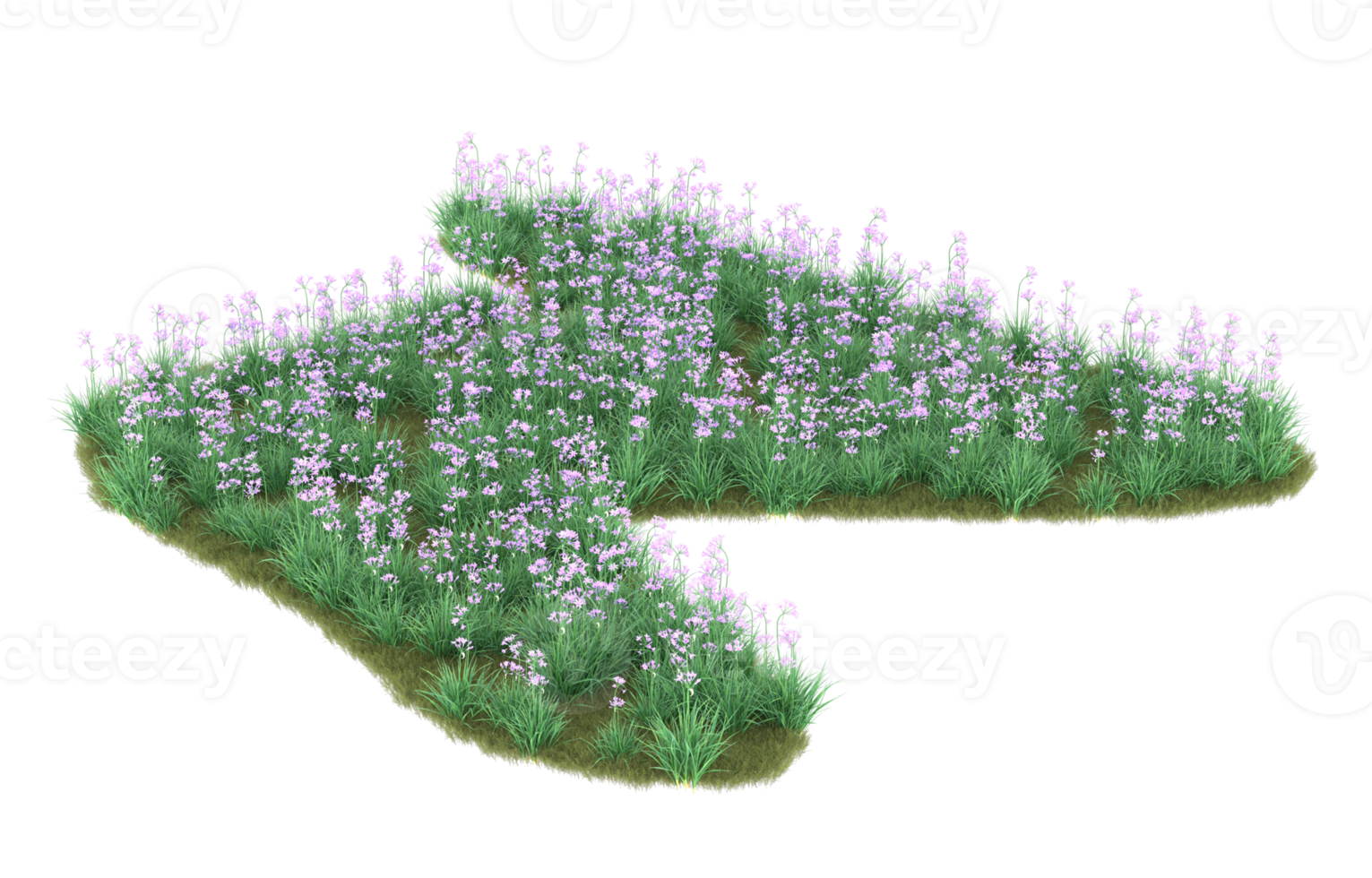 Realistic foliage isolated on transparent background. 3d rendering - illustration png