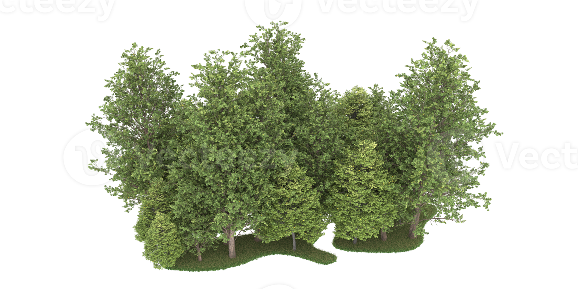 Realistic forest isolated on transparent background. 3d rendering - illustration png