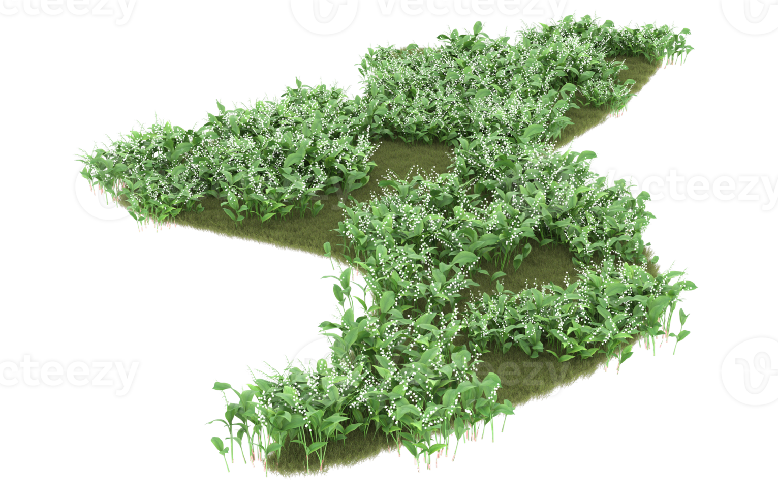 Realistic foliage isolated on transparent background. 3d rendering - illustration png