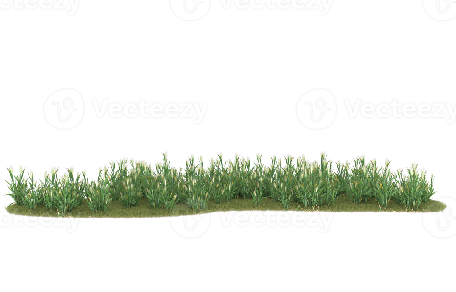 Realistic foliage isolated on transparent background. 3d rendering - illustration png