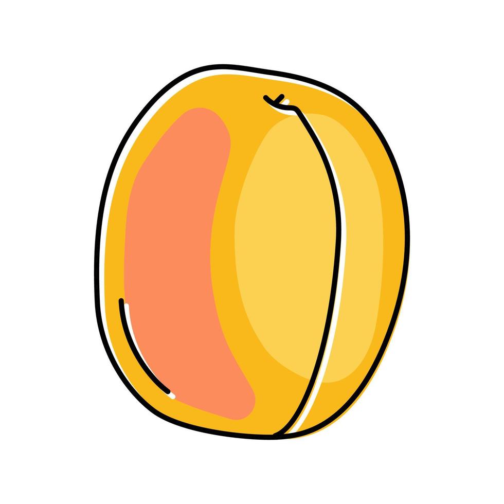 apricot ripe fruit color icon vector illustration