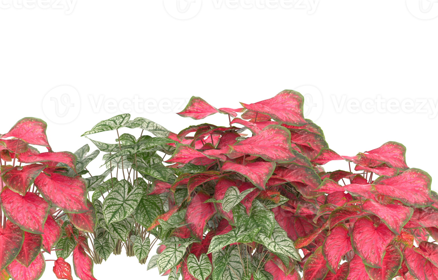 Realistic foliage isolated on transparent background. 3d rendering - illustration png