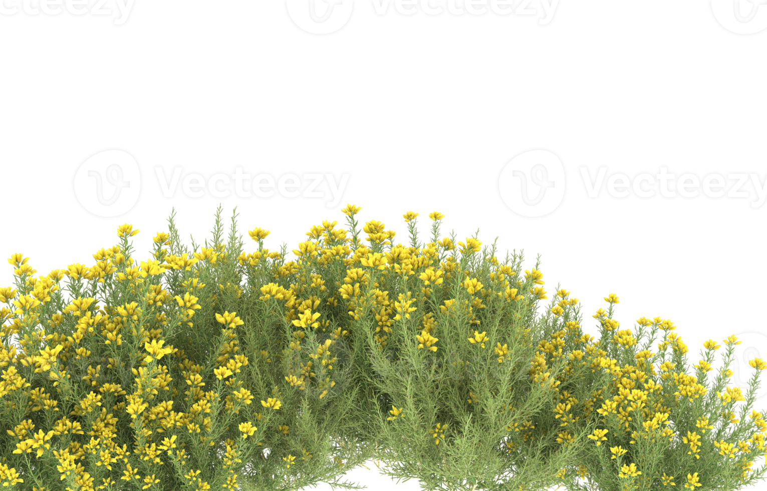 Realistic foliage isolated on transparent background. 3d rendering - illustration png