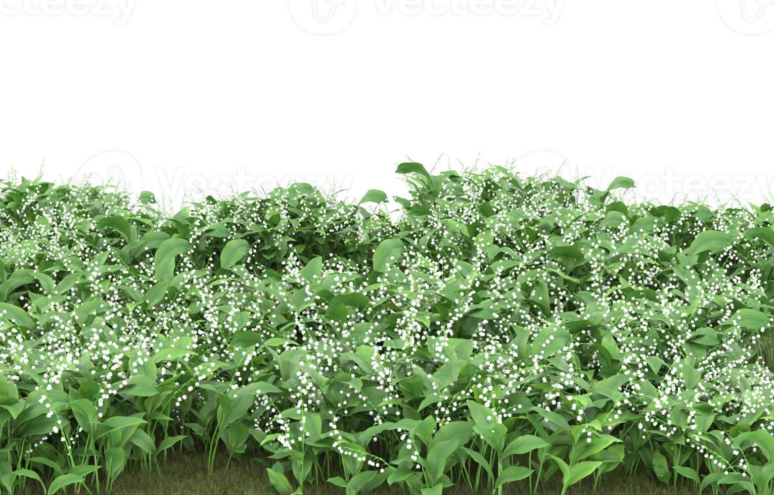 Realistic foliage isolated on transparent background. 3d rendering - illustration png