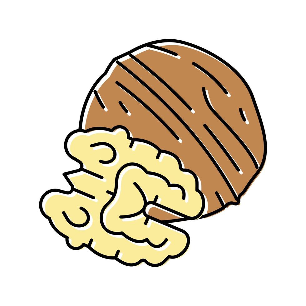 walnut nut color icon vector illustration