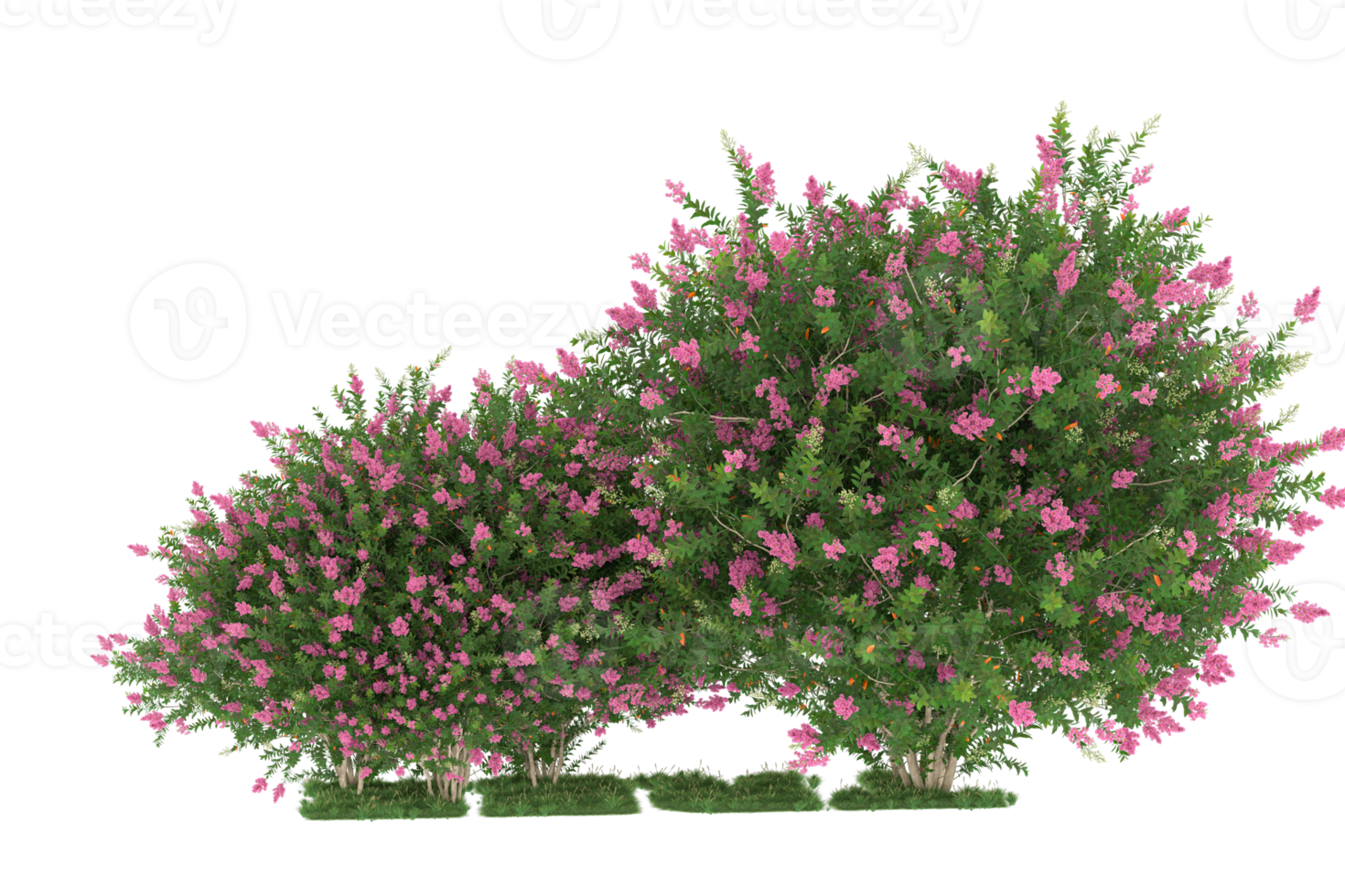 Realistic forest isolated on transparent background. 3d rendering - illustration png