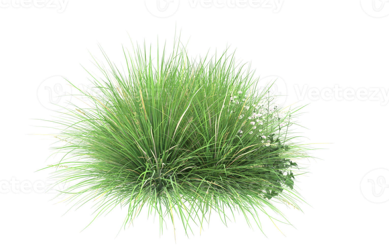 Realistic foliage isolated on transparent background. 3d rendering - illustration png