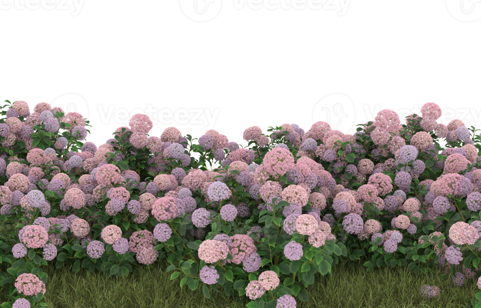 Realistic foliage isolated on transparent background. 3d rendering - illustration png