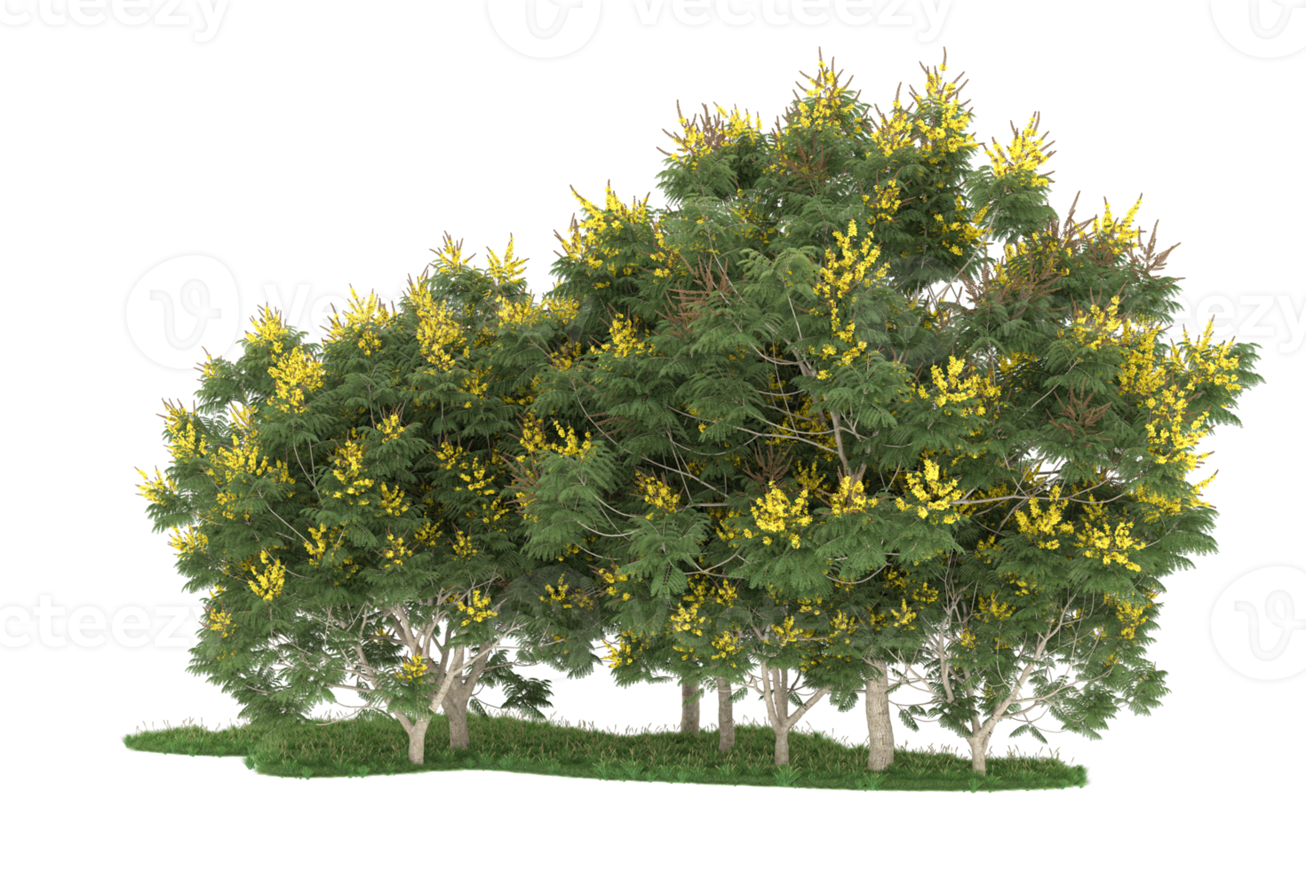 Realistic forest isolated on transparent background. 3d rendering - illustration png