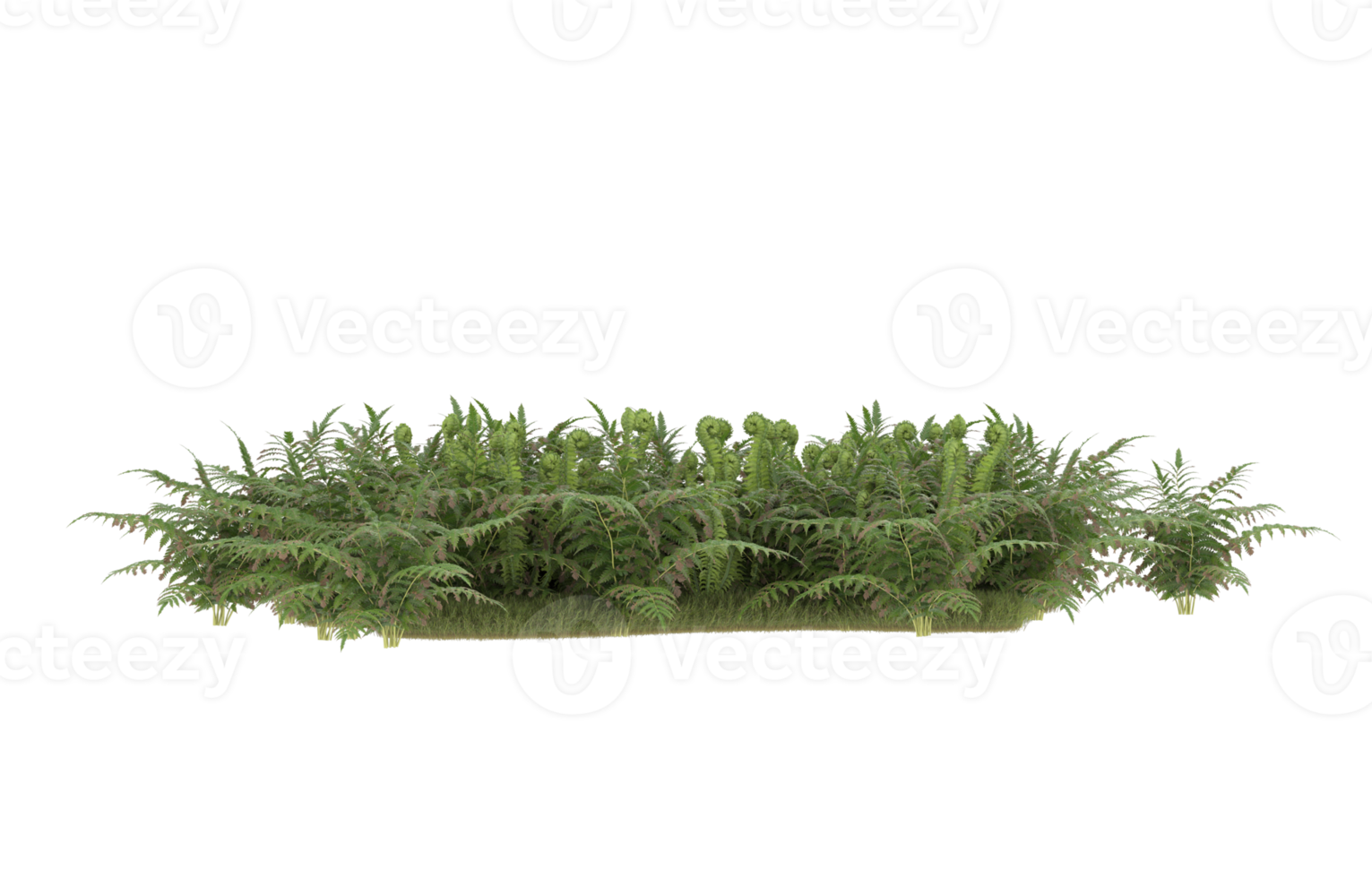 Realistic foliage isolated on transparent background. 3d rendering - illustration png