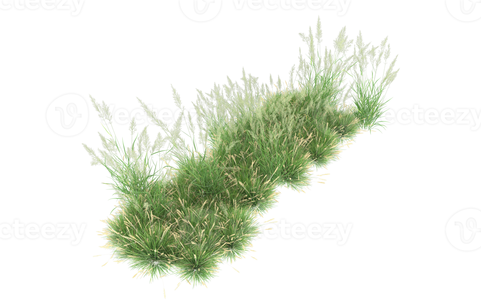 Realistic foliage isolated on transparent background. 3d rendering - illustration png