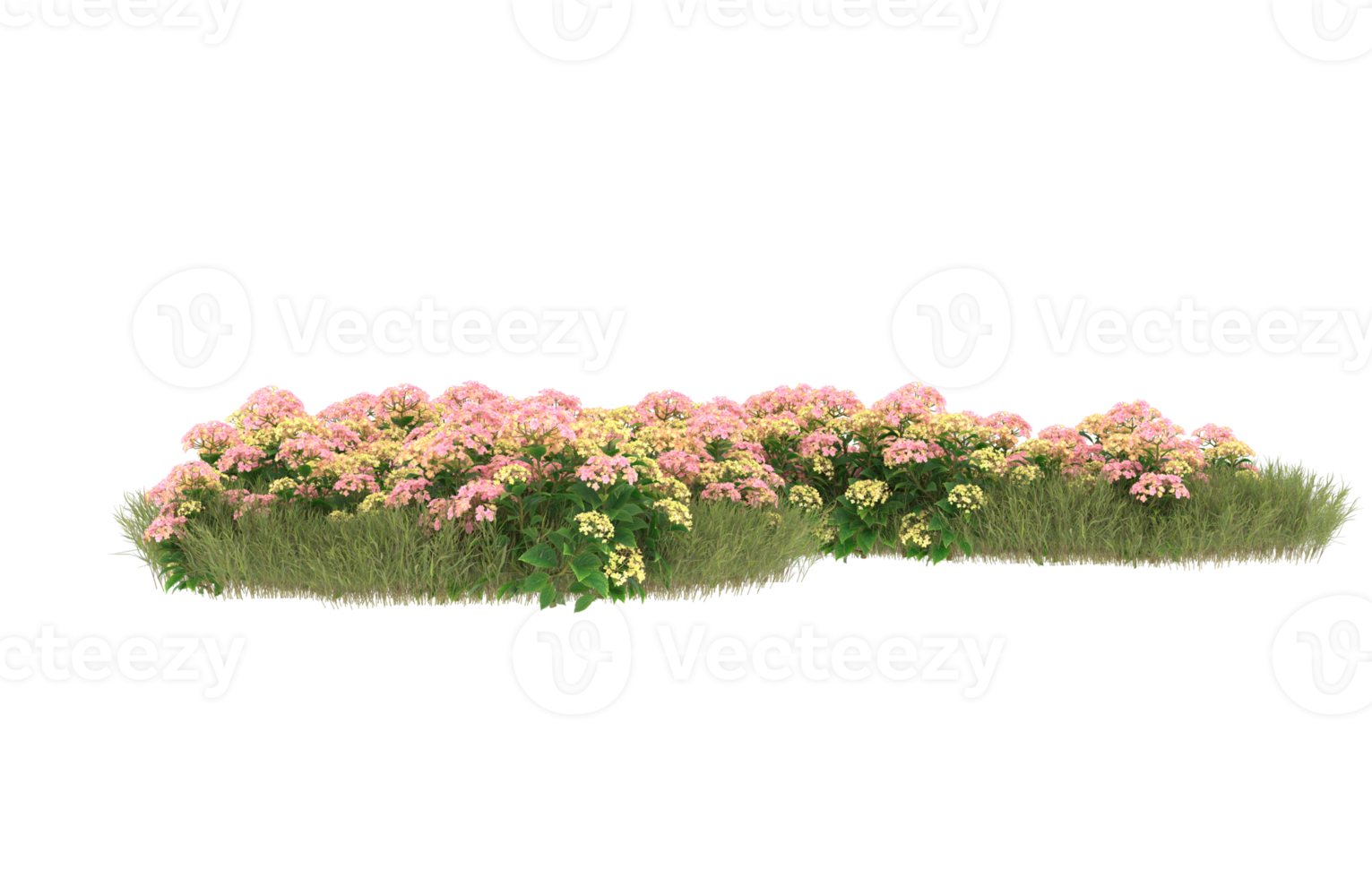 realistisk lövverk isolerat på transparent bakgrund. 3d tolkning - illustration png